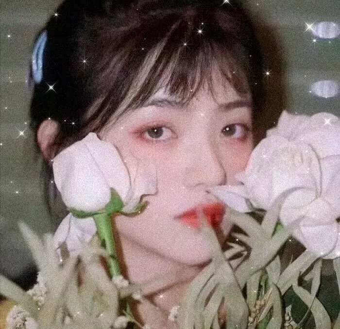 圣域第一季